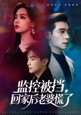 【短剧】监控被挡，回家后老婆慌了